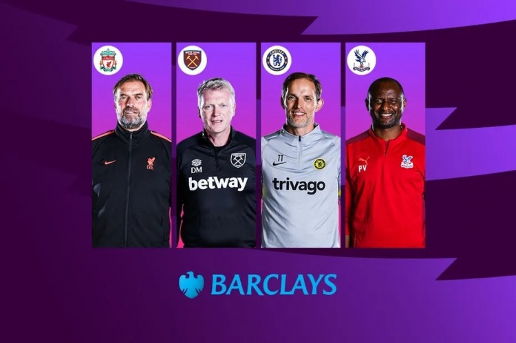 公牛的年轻 公牛的年轻